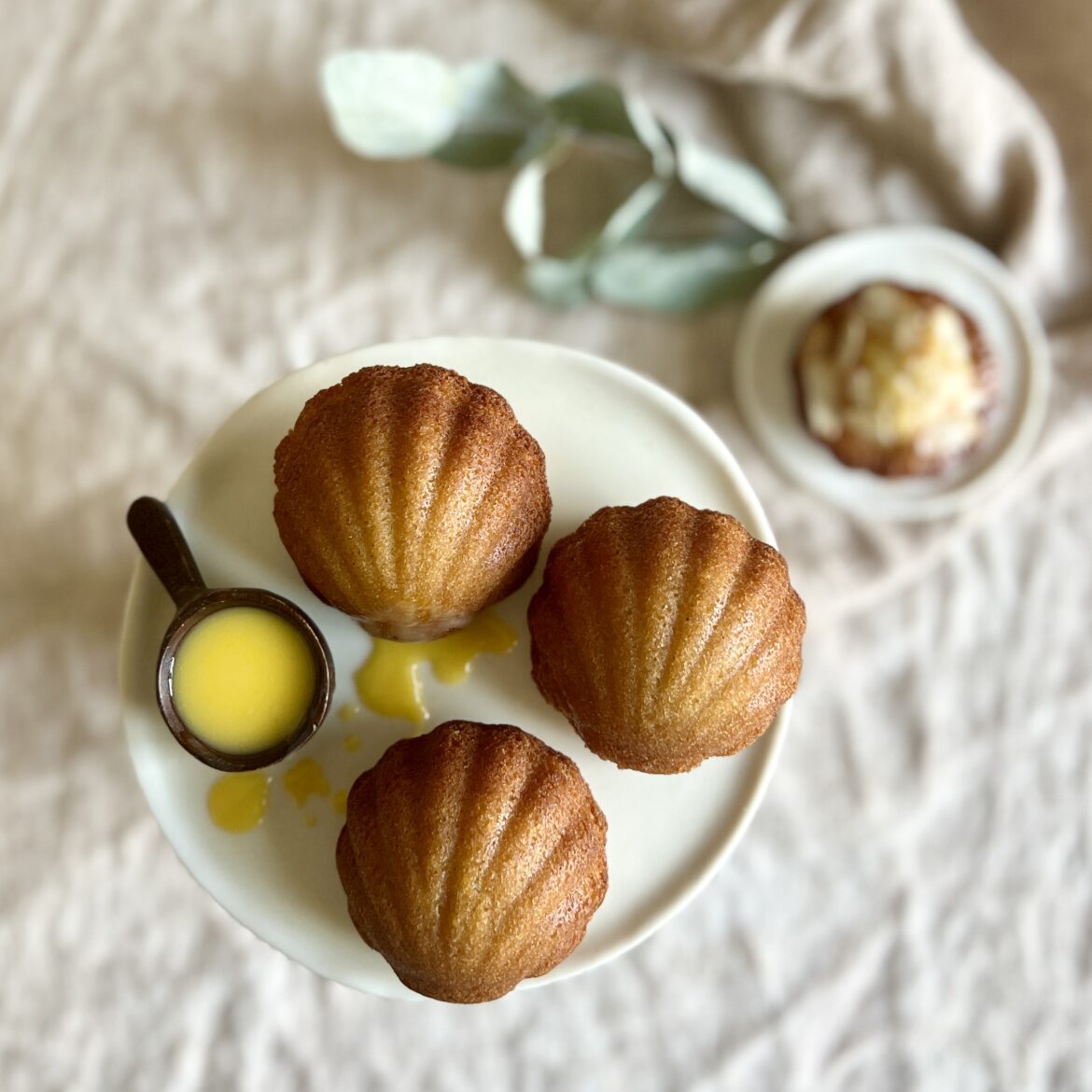 Eierlikoer-Madeleines